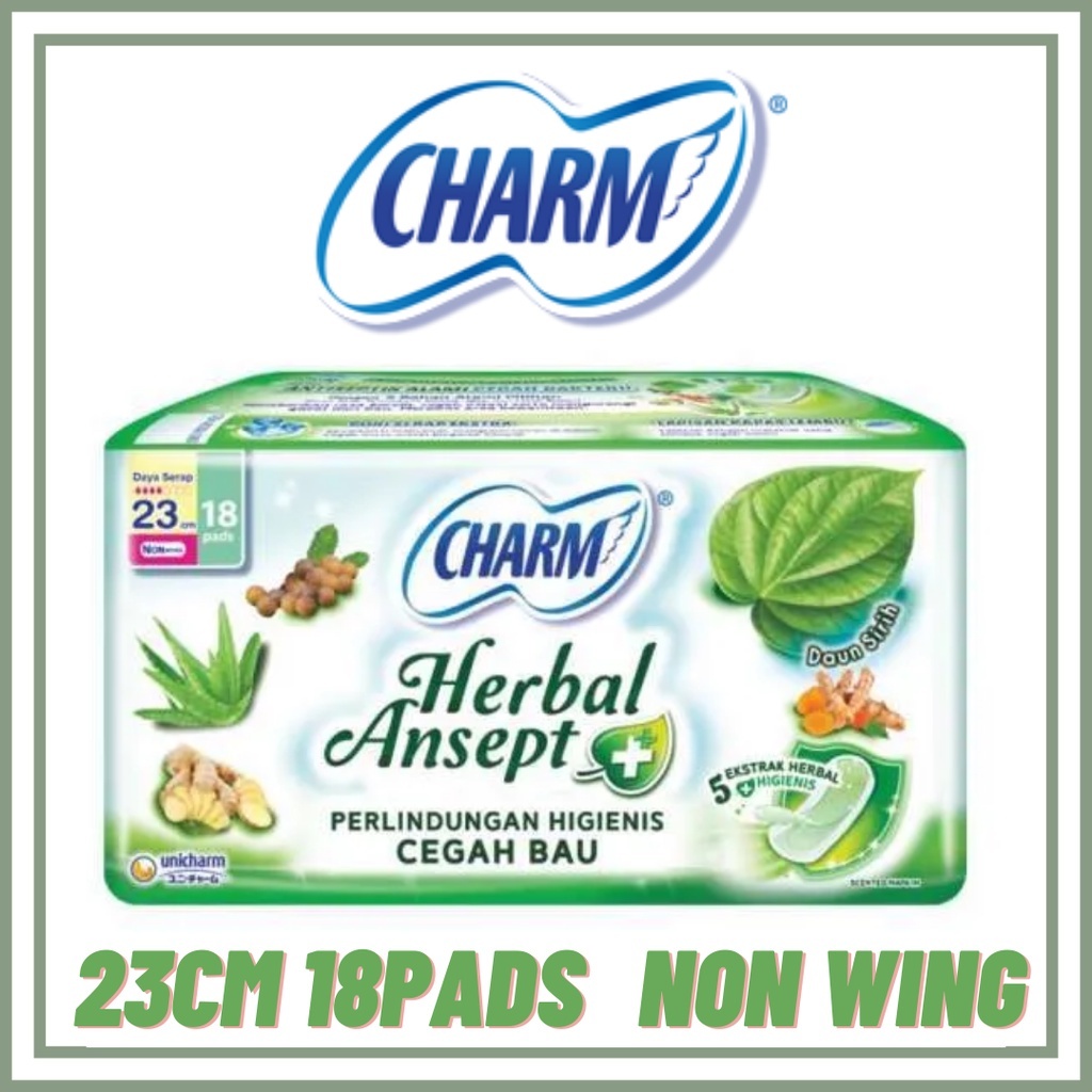 CHARM HERBAL ANSEPT WING/NON WING 23 CM