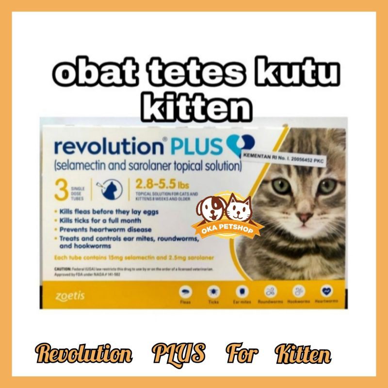 revolution plus cat kitten 1tube - obat tetes kutu anak kucing - obat kutu revolution plus