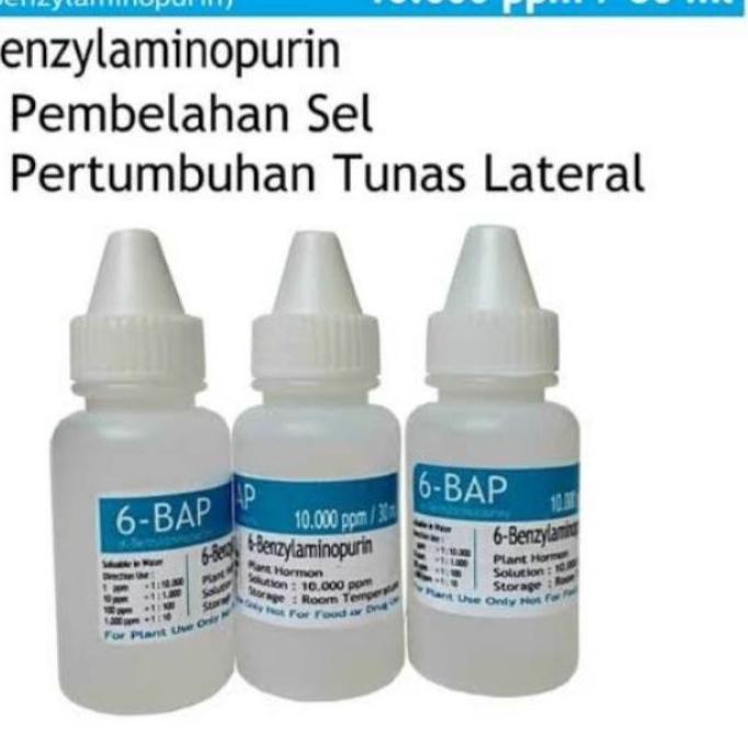 Flash Sale hormon 6 BAP biru | TRENDING | TERBARU LAGI |