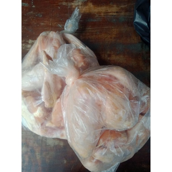 

sayap ayam