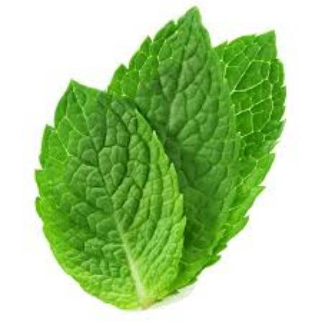 Daun Mint 250 gram