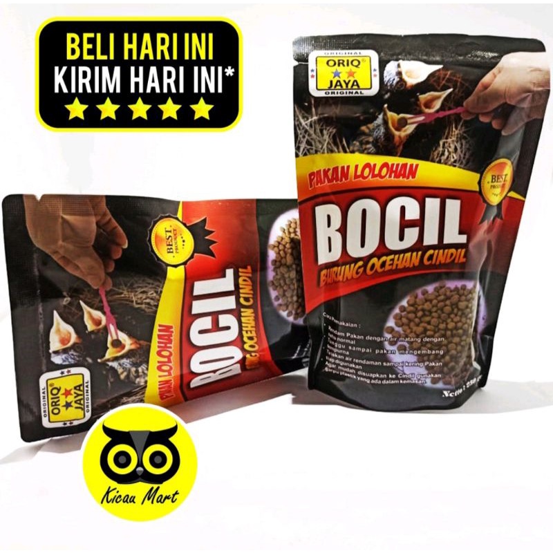 Bocil pur lolohan oriq jaya bubur bayi burung kicau murai kacer ciblek jalak pentet dll