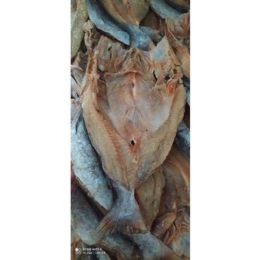 

ikan asin jambal roti super