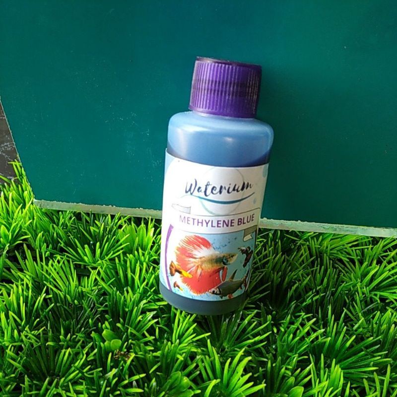 

methylene blue obat ikan hias