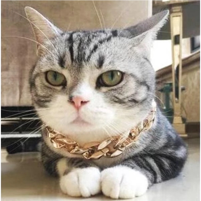 Kalung Rantai Warna Emas Cocok Untuk Anjing/Kucing