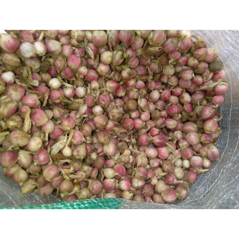 

buah kapulaga fresh 500 gram