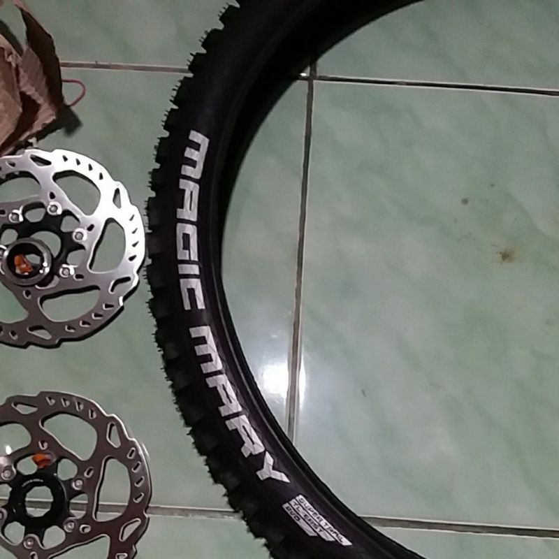 Ban schwalbe magic Marry