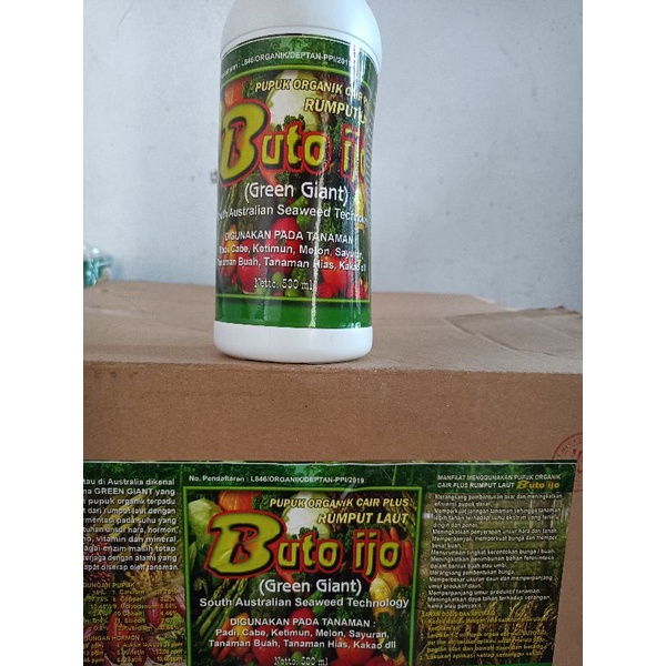 Buto ijo pupuk organik cair