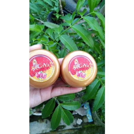 DNA SALMON by Grya Beauty