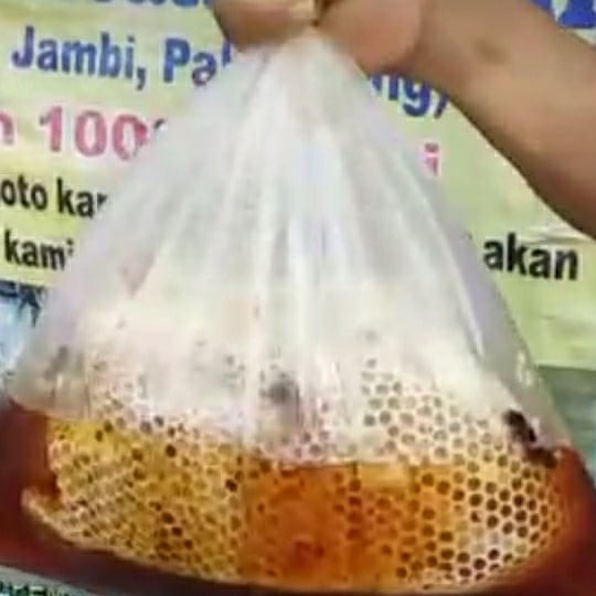 

Madu Sarang Madu Odeng Raw Honey Madu Murni Madu Hutan Madu Tawon Liar Asli 1 kg 1 kilogram