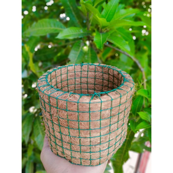 Pot Lingkaran Sabut Kelapa Pot Tanaman Pot anggrek Pot Sabut