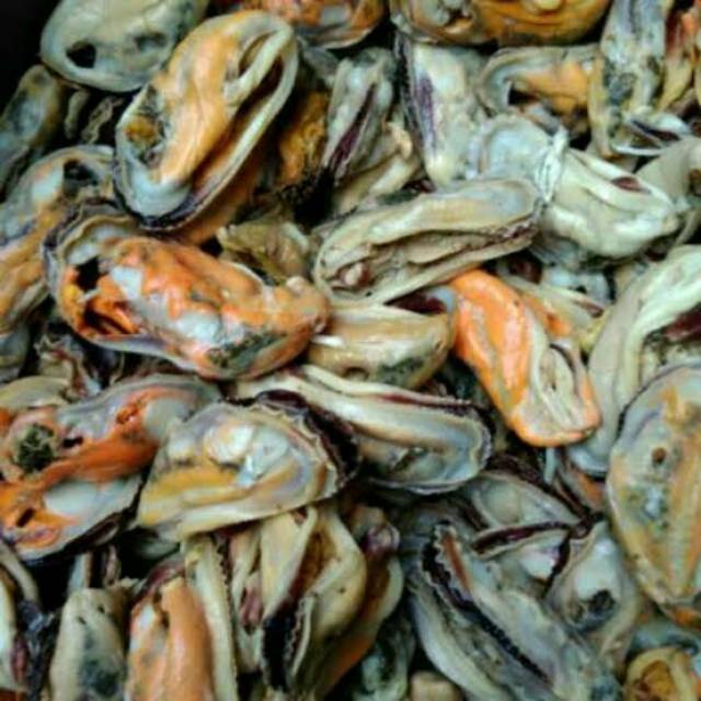 Kerang Hijau Kupas 500 Gram Shopee Indonesia