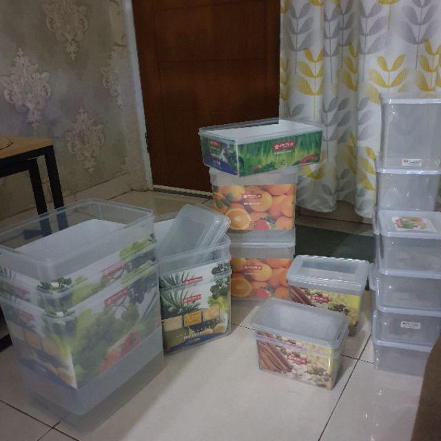 Sealware Segi Natural B47 Pt3 Lion Star