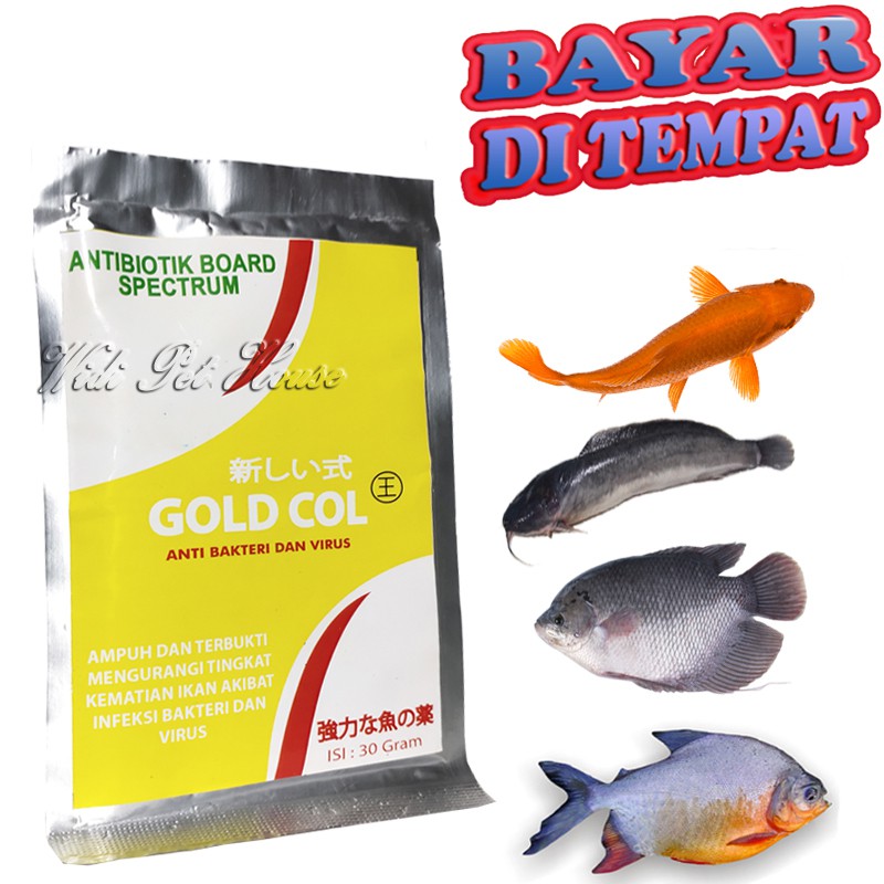 OBAT IKAN SAKIT GOLD COL ANTIBIOTIK GURAME MAS PATIN UDANG NILA LELE TAWES GABUS