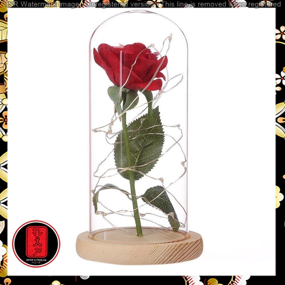 Bunga Mawar Lampu LED Dekorasi Beauty and The Beast Rose