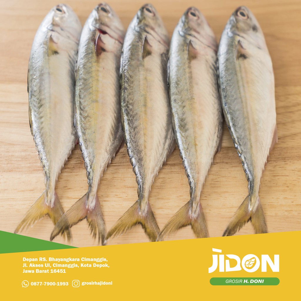 

JUAL IKAN AIR TAWAR/IKAN SEGAR/IKAN SELAR 500gr - 1kg
