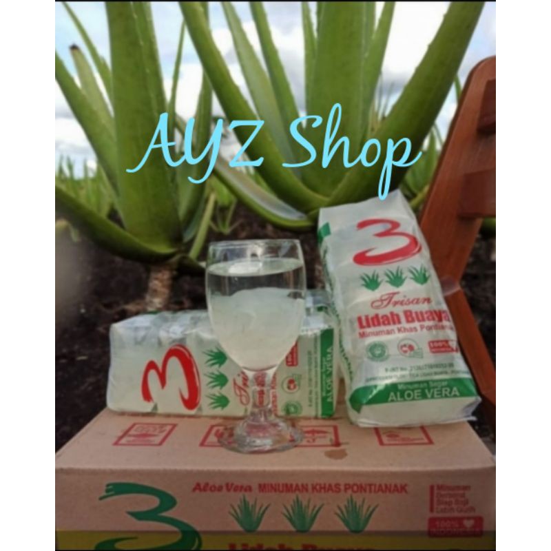 

Ay00! 1 Pack Isi 5Pc Minuman Lidah Buaya Pontianak TRISAN Bukan Triple