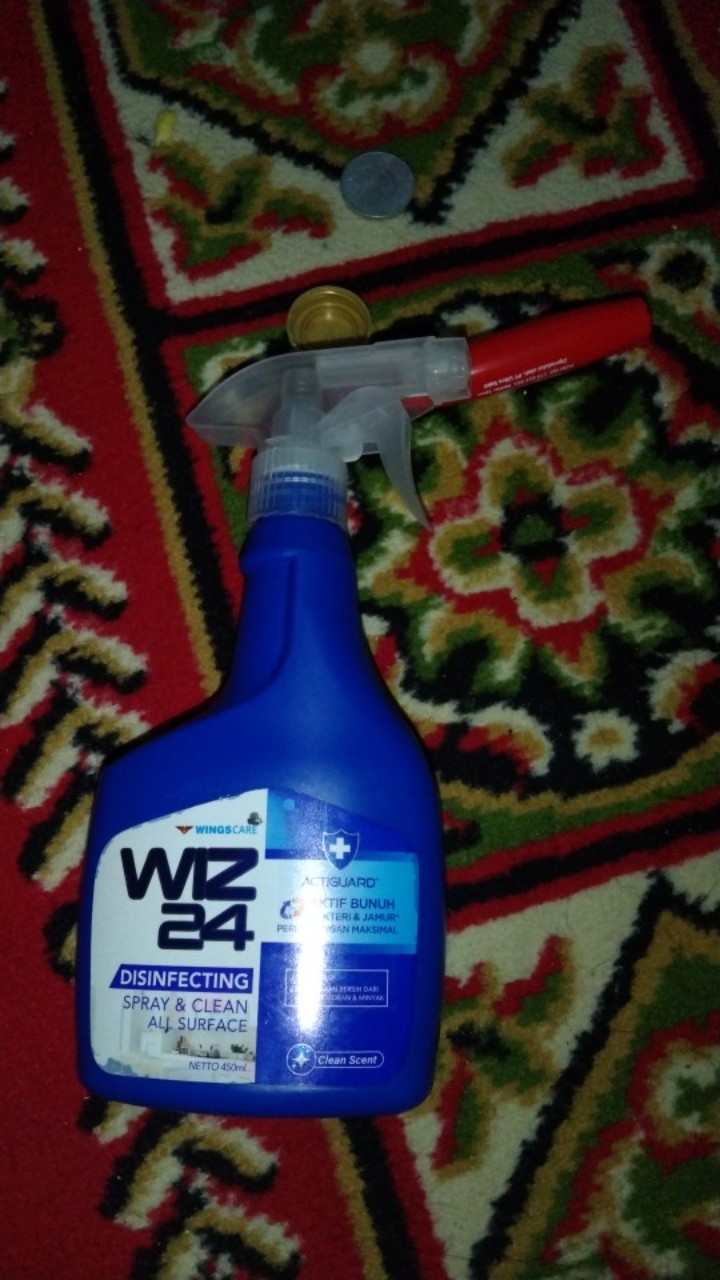 Wiz 24 Disinfectan Spray Btl 450 Ml