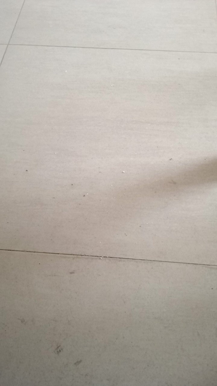 1 Lembar Polybag / Polibag Ukuran 10cm X 15cm