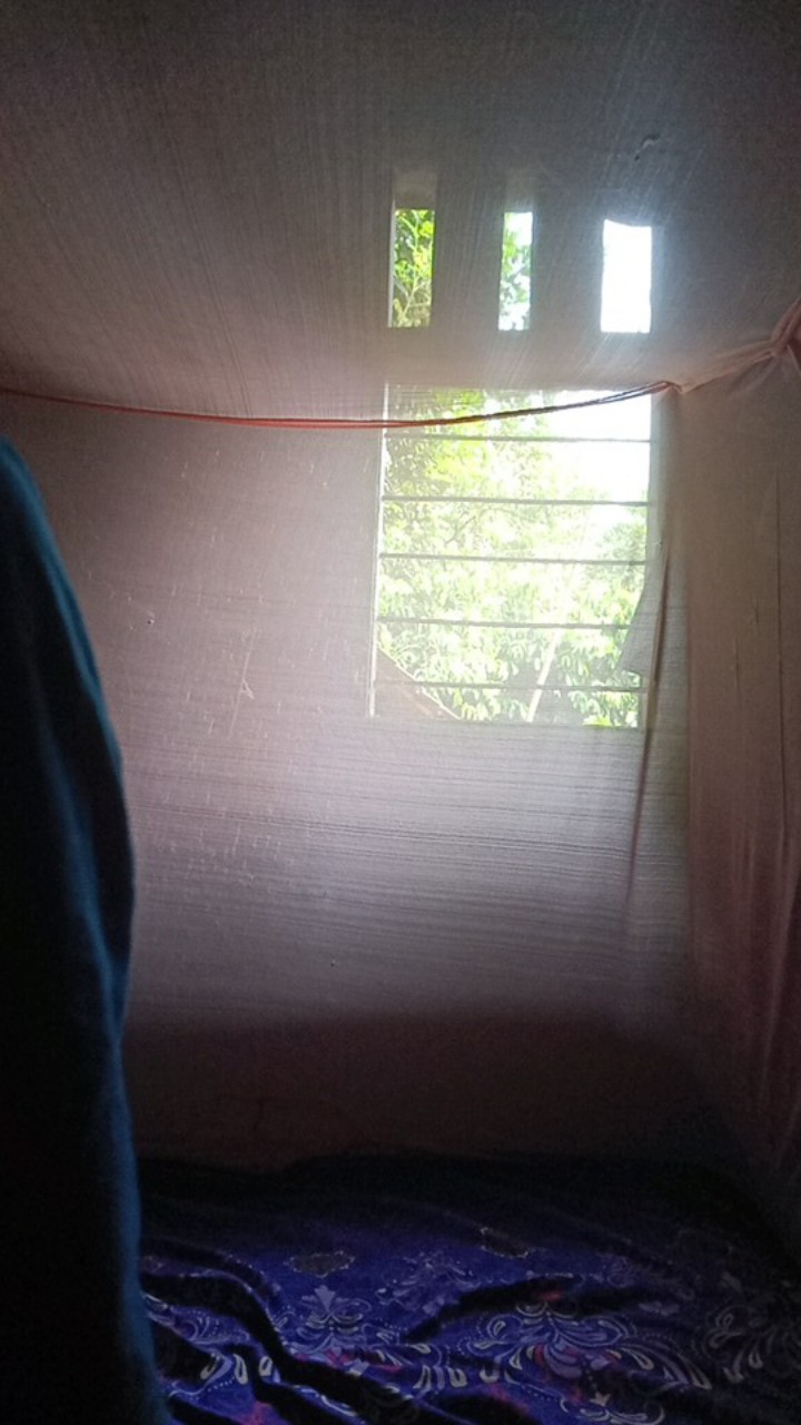 Pupuk Kno3 Putih Pn Prill Unggul