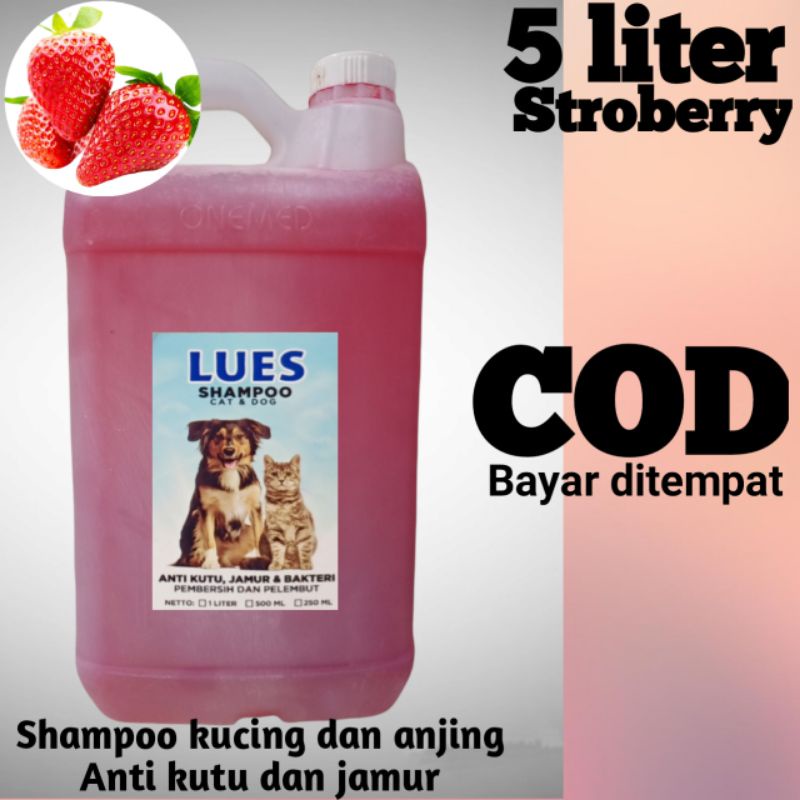 SHAMPOO KUCING ANTI KUTU/JAMUR DAN BAKTERI NETTO:5 liter