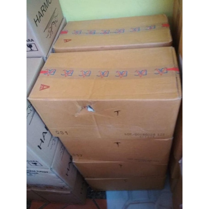 

1 Dus Tsubu Shirataki New