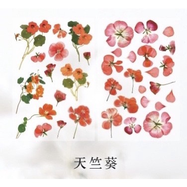 

Sticker Aesthetic - 102 Dekorasi Planner Scrapbook FLOWER COLLECTION - 1