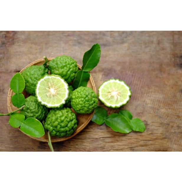 

Daun Jeruk Purut - Non Pestisida / Kaffir Lime Leaf