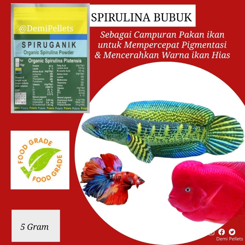 SPIRUGANIK / Spirulina Organik Food grade Mempercepat pigmentasi warna Campuran Pakan ikan hias 5 gram