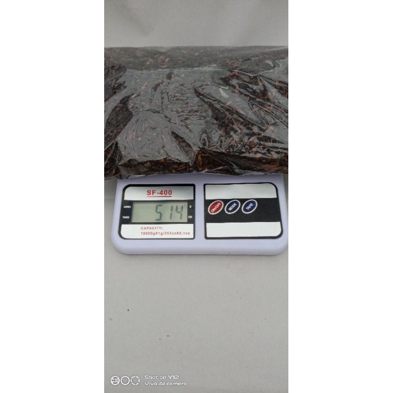 MEDIA TANAM KAKTUS DAN SUKULEN SIAP PAKAI