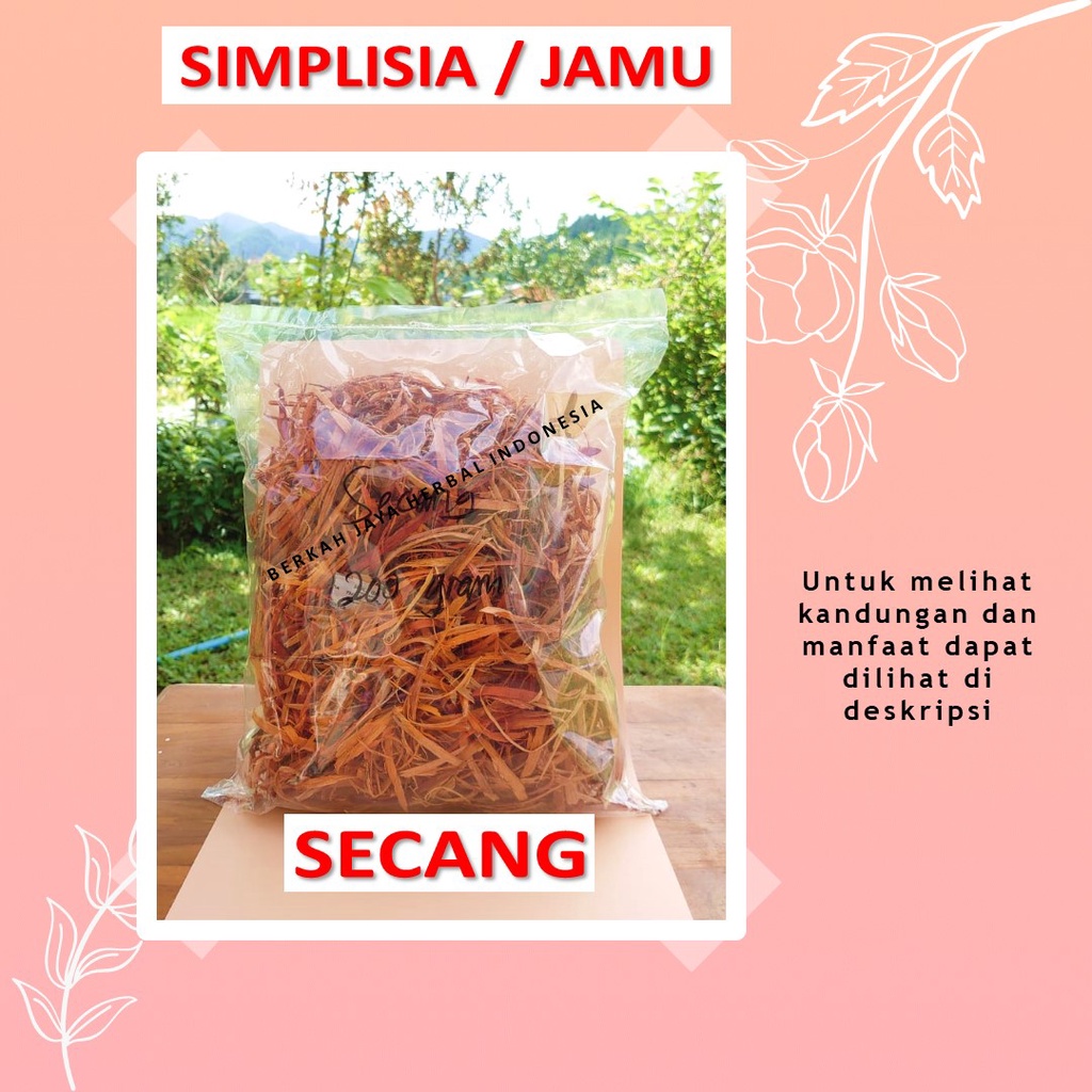 

Kayu secang bahan Jamu godog godok rebus simplisia antioksidan antiradang demam pereda nyeri