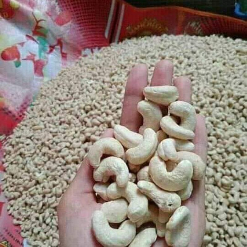 kacang mete mentah super