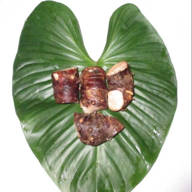 

Umbi nampu/cariyang bodas segar 1kg