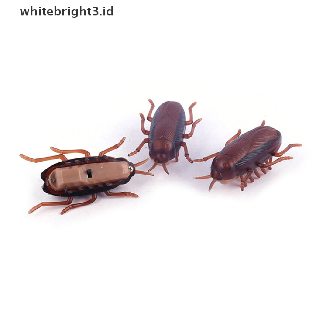 (whitebright3.id) Mainan Interaktif Kecoa Elektronik Tenaga Baterai Untuk Kucing