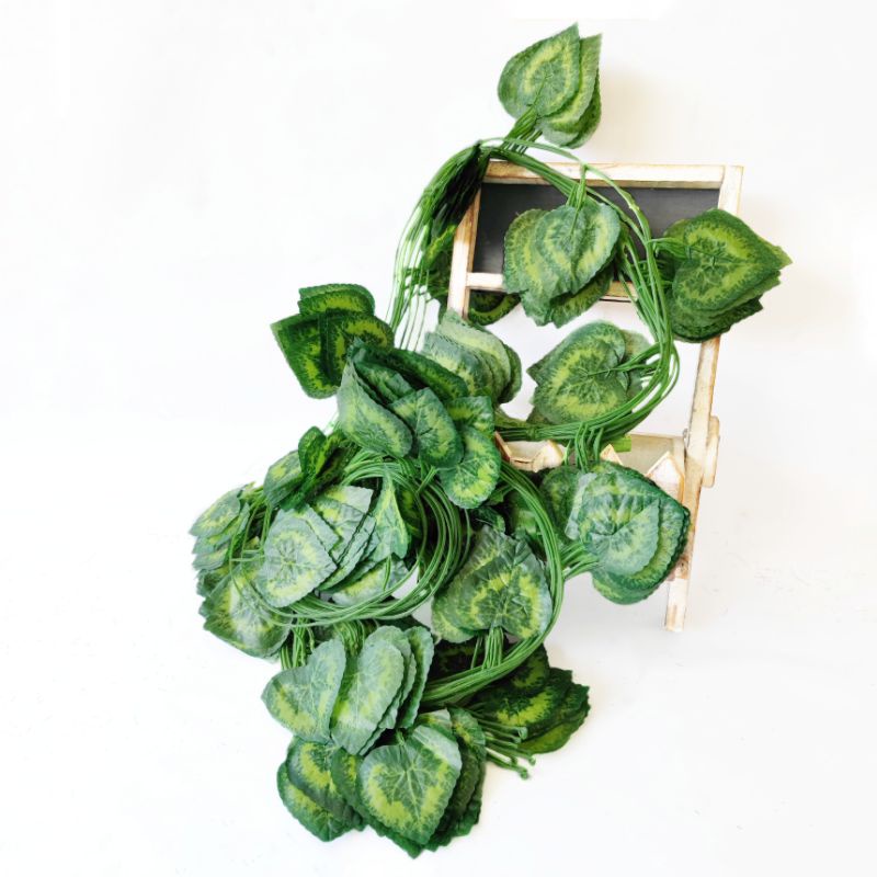 (12PCS) Daun Rambat Besar 30 helai AL95 Findlove Peperomia Semangka Ivy Calathea Begonia Vine Plastik