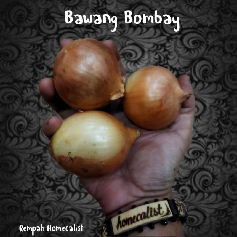 BAWANG BOMBAY