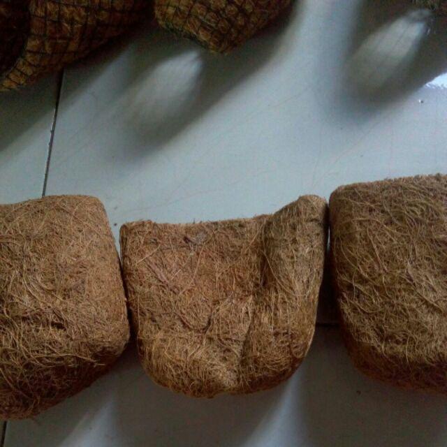 Termurah Pot Tanaman Dari Sabut Kelapa / Pot Sabut Serabut Kelapa Ukuran 12x15cm