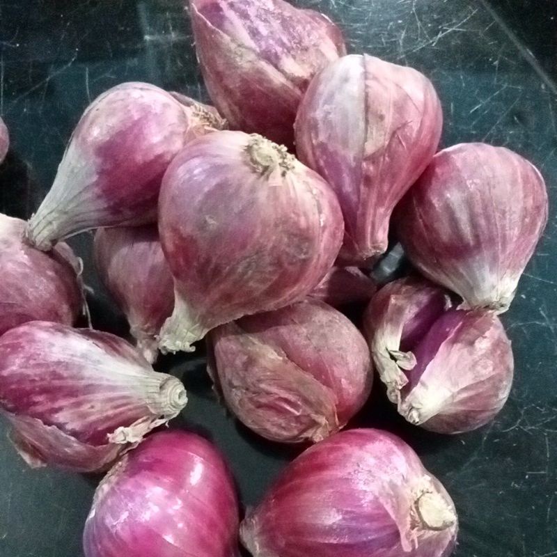 BAWANG MERAH LOKAL BREBES UKURAN BESAR 1 KG