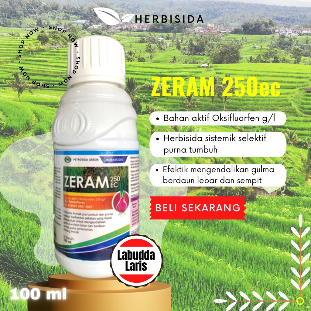 Zeram Herbisida Sistemik Herbisida Kontak Murah Herbisida Zeram 250ec Zeram 100ml Herbisida Sistemik