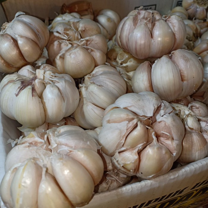 

01F1S Bawang Putih Biasa/ Banci - 250G Fsfs201