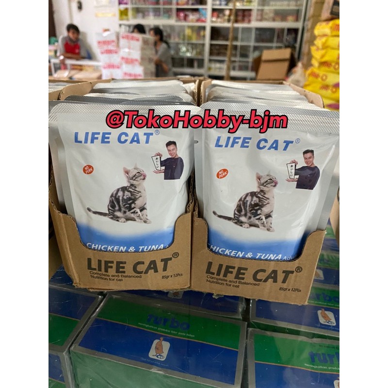 life cat pouch basah perSACHET - lifecat kucing makanan kucing basah pouch - life cat kucing wet