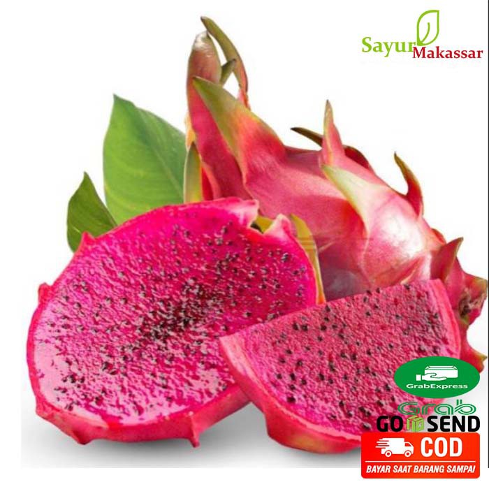 

Buah Naga 1 Kg / Belanja Buah Fresh Online Makassar
