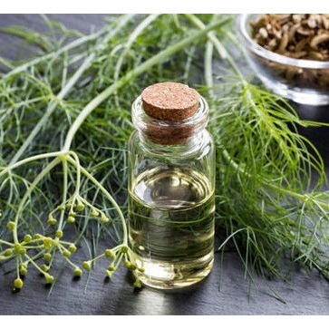 

Fennel Oil 100 ml Minyak Adas Foeniculi Oil