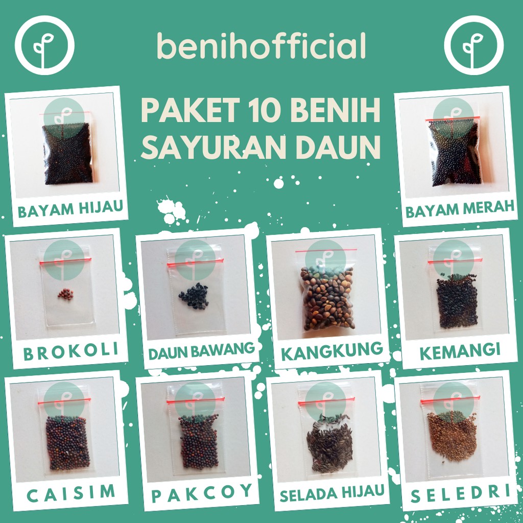 Bibit Sayuran 10 Macam Benih Paket Lengkap Sayur Daun Kangkung Bayam Sawi Pakcoy Kemangi Bawang dll-1