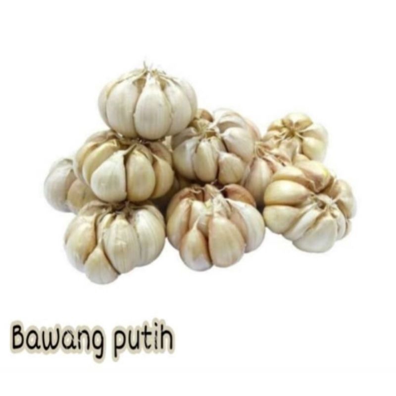

BAWANG PUTIH