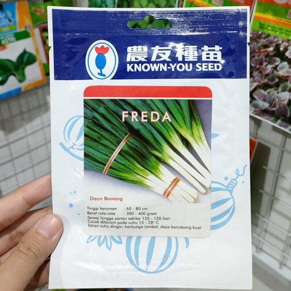 KYS - benih DAUN BAWANG FREDA isi 5 gram - benih bawang pre - known you seed