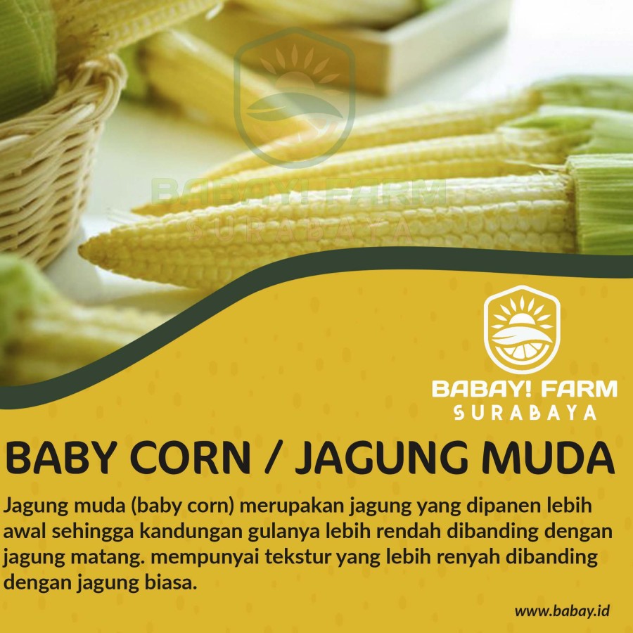 

Jagung Muda / Baby Corn / Jagung Acar / Janten / Putren