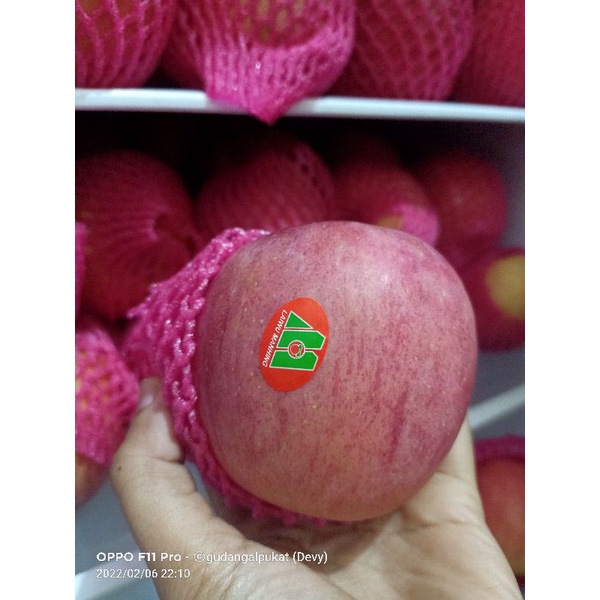 

apel puji 1 kg