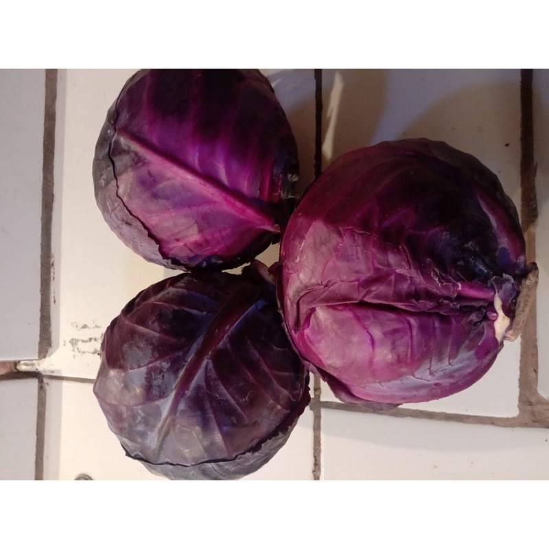 

kol ungu /500 gram Rp 18.000