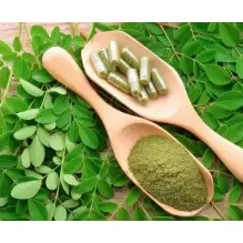 KAPSUL DAUN KELOR 100% ASLI ORIGINAL